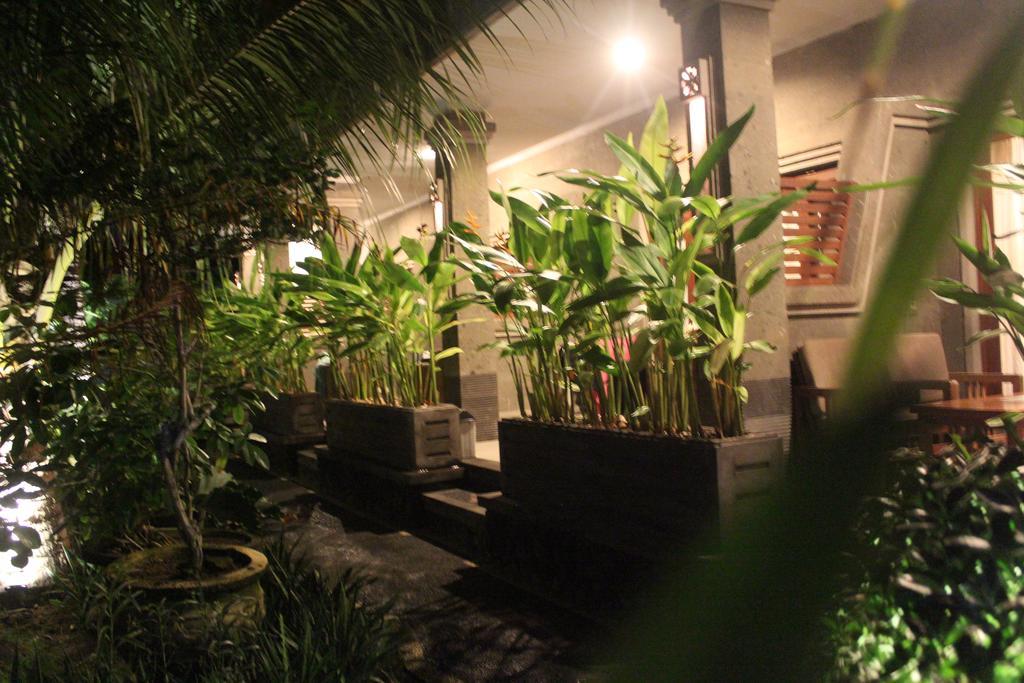 Deluxe Double Room Terrace